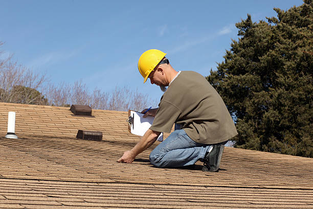 Best Asphalt Shingle Roofing  in Bensenvle, IL